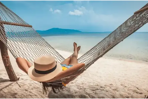 Tropical beach hammock